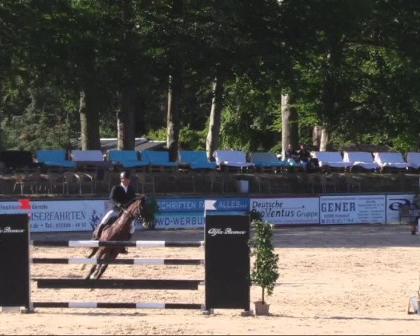 Reitturnier Görlitz 2019