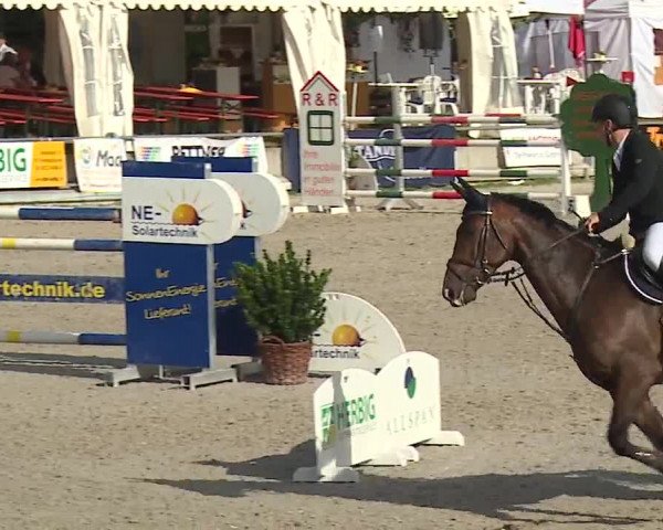 Reitturnier Grafenrheinfeld 2019