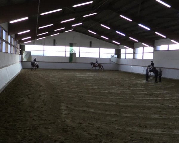 Reitturnier Waltrop 2019
