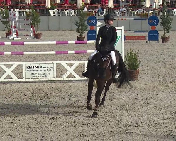 Reitturnier Grafenrheinfeld 2019