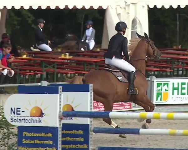 Reitturnier Grafenrheinfeld 2019