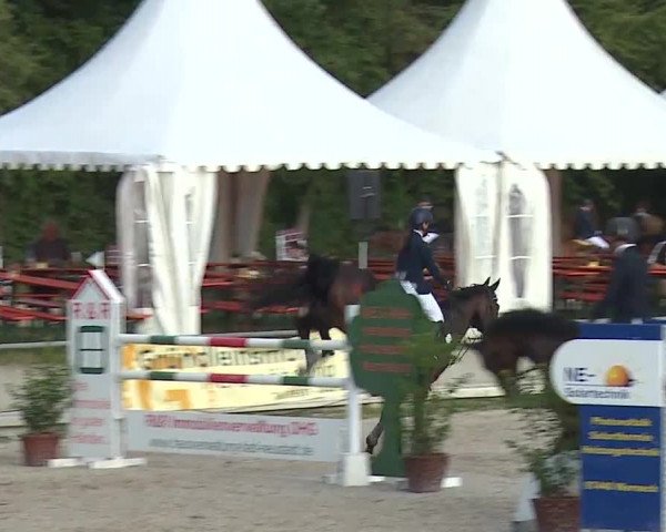 Reitturnier Grafenrheinfeld 2019