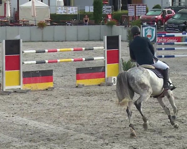 Reitturnier Grafenrheinfeld 2019