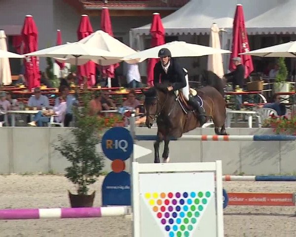 Reitturnier Grafenrheinfeld 2019
