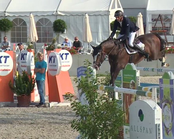 Reitturnier Grafenrheinfeld 2019