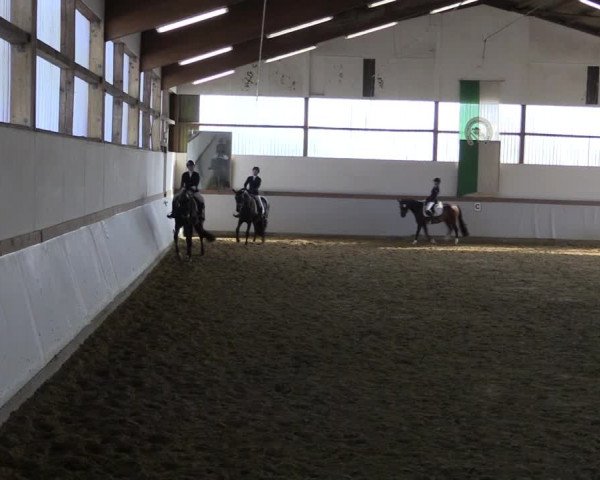 Reitturnier Waltrop 2019