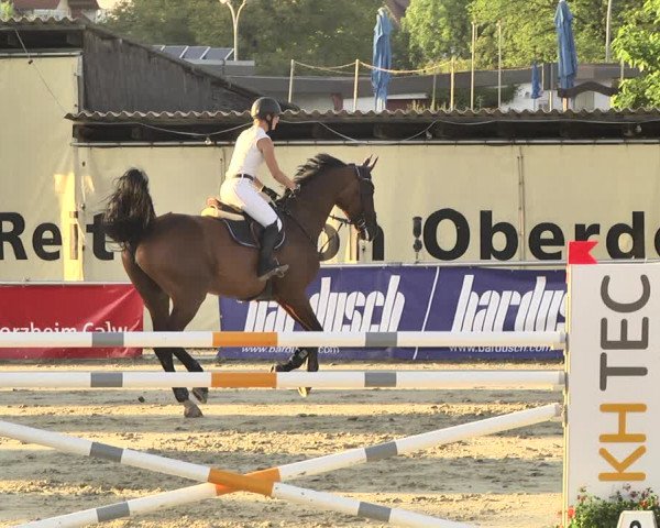 Reitturnier Oberderdingen 2019
