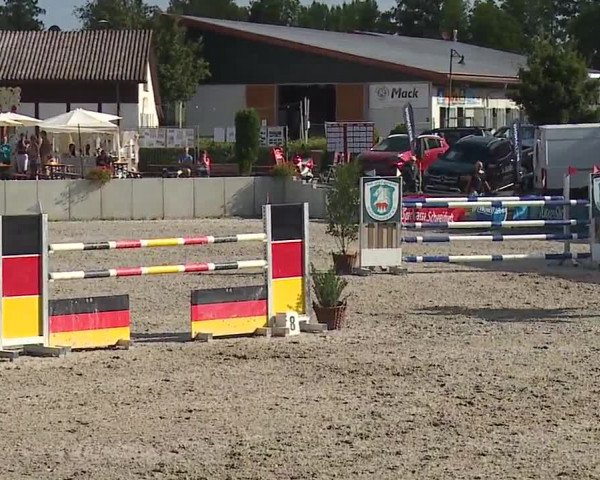 Reitturnier Grafenrheinfeld 2019