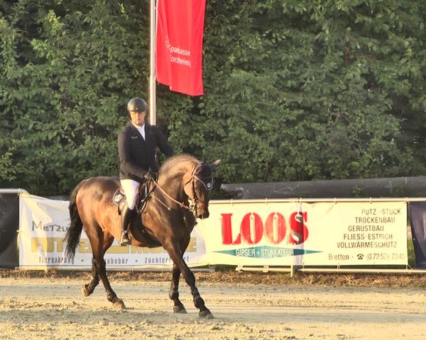 Reitturnier Oberderdingen 2019