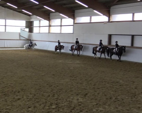 Reitturnier Waltrop 2019
