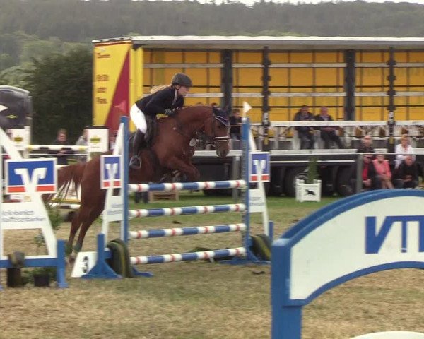 Reitturnier Behrendorf 2019