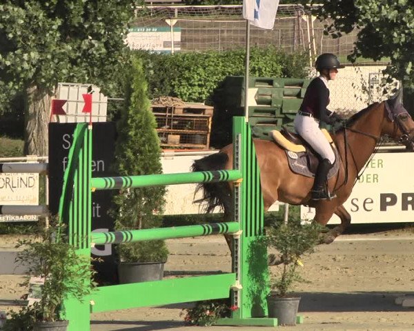 Reitturnier Oberderdingen 2019