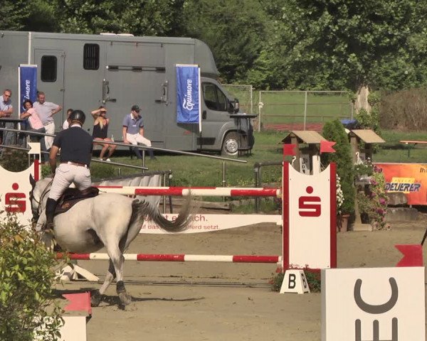 Reitturnier Oberderdingen 2019