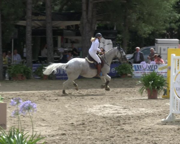 Reitturnier Waltrop 2019