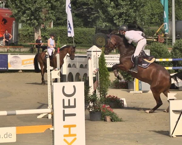 Reitturnier Oberderdingen 2019