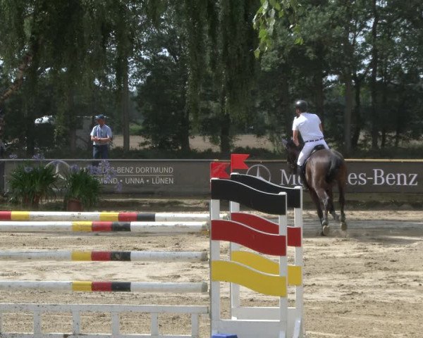 Reitturnier Waltrop 2019