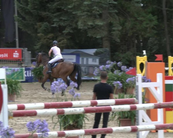 Reitturnier Waltrop 2019