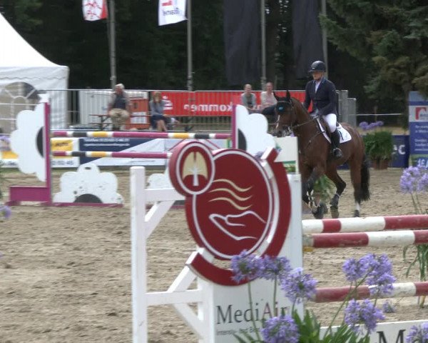 Reitturnier Waltrop 2019