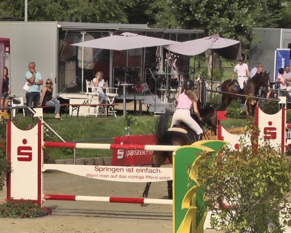 Reitturnier Oberderdingen 2019