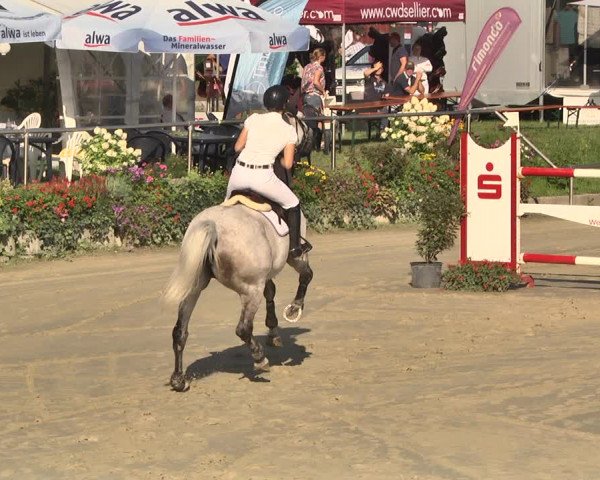 Reitturnier Oberderdingen 2019