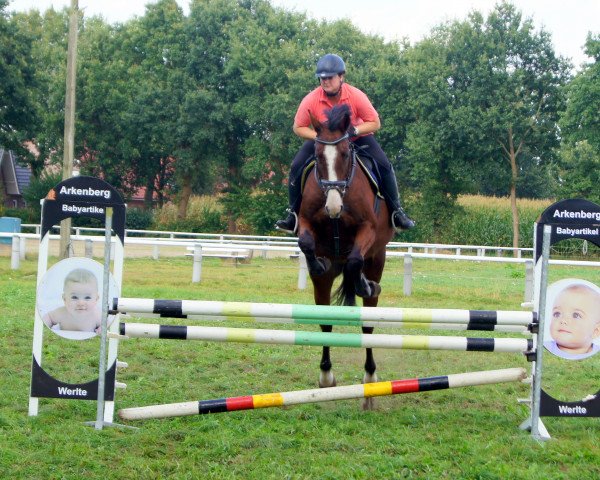 jumper Cartouche L'Espoir (Holsteiner, 2011, from Cardino)