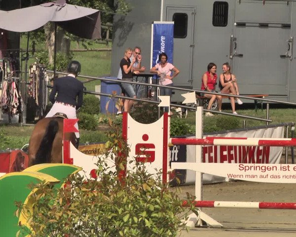 Reitturnier Oberderdingen 2019