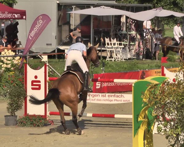 Reitturnier Oberderdingen 2019