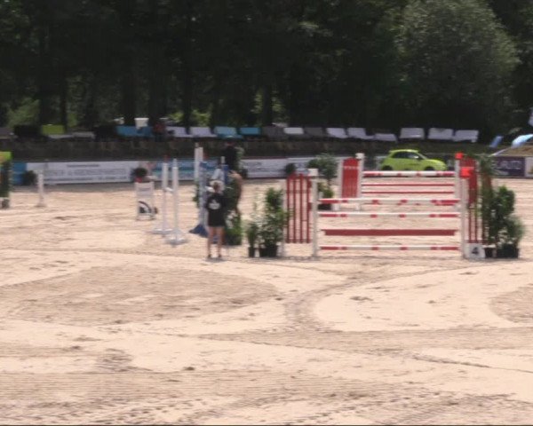 Reitturnier Görlitz 2019