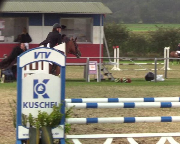 Reitturnier Behrendorf 2019