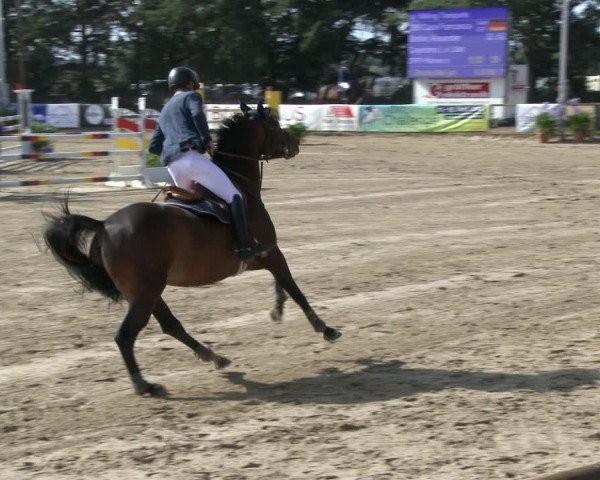 Reitturnier Waltrop 2019