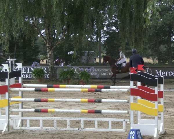 Reitturnier Waltrop 2019