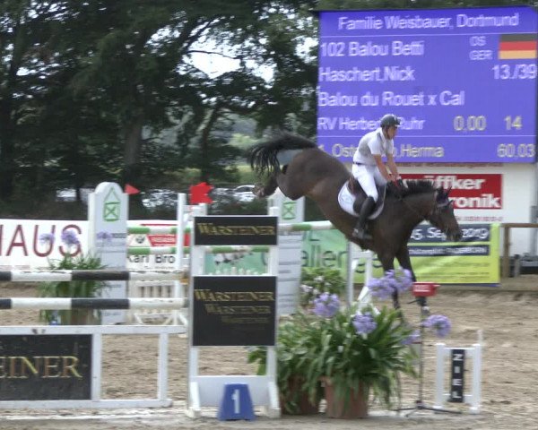 Reitturnier Waltrop 2019