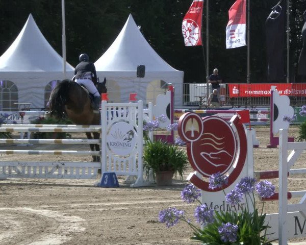 Reitturnier Waltrop 2019