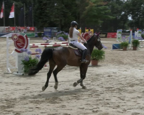 Reitturnier Waltrop 2019