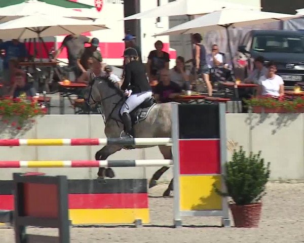 Reitturnier Grafenrheinfeld 2019