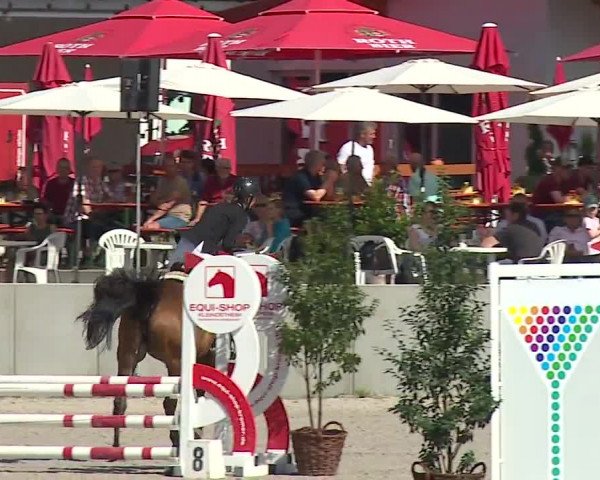 Reitturnier Grafenrheinfeld 2019