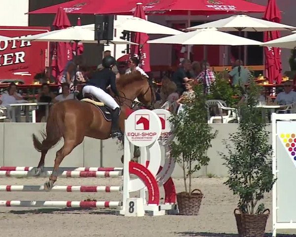 Reitturnier Grafenrheinfeld 2019