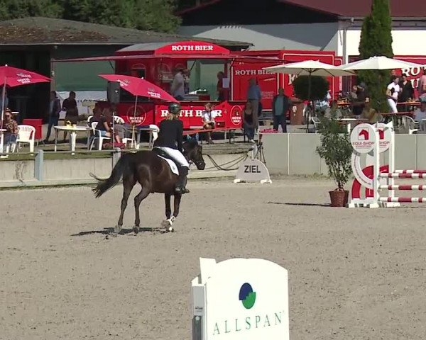 Reitturnier Grafenrheinfeld 2019