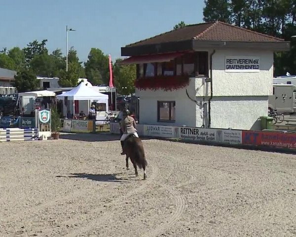 Reitturnier Grafenrheinfeld 2019