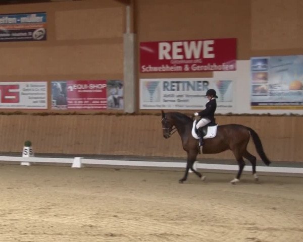 Reitturnier Grafenrheinfeld 2019