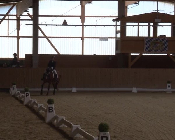 Reitturnier Grafenrheinfeld 2019
