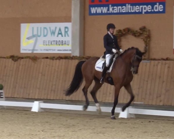 Reitturnier Grafenrheinfeld 2019