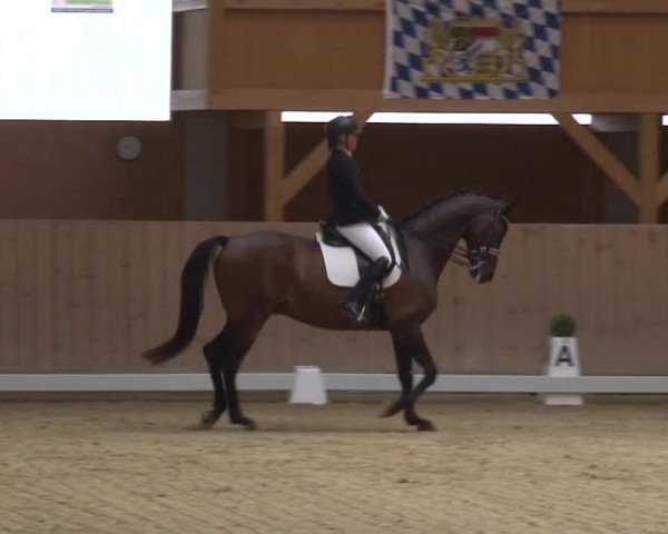 Reitturnier Grafenrheinfeld 2019