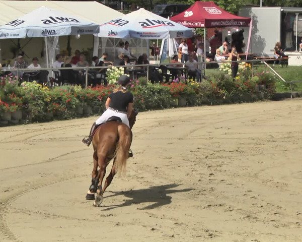 Reitturnier Oberderdingen 2019