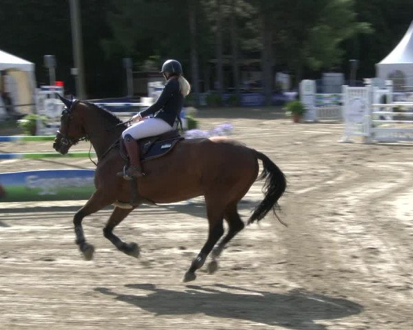 Reitturnier Waltrop 2019
