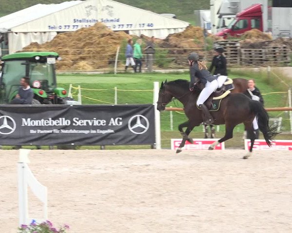 Reitturnier Zuoz 2019