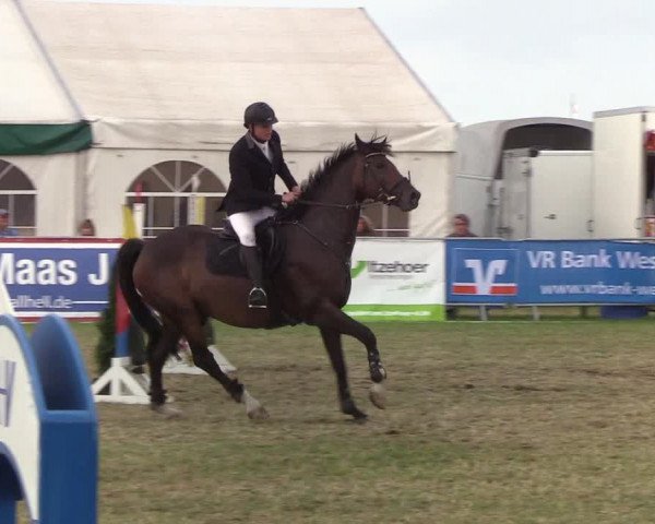 Reitturnier Behrendorf 2019