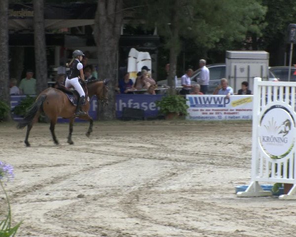 Reitturnier Waltrop 2019