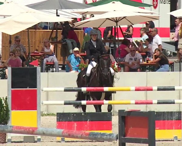 Reitturnier Grafenrheinfeld 2019