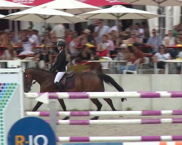 Reitturnier Grafenrheinfeld 2019